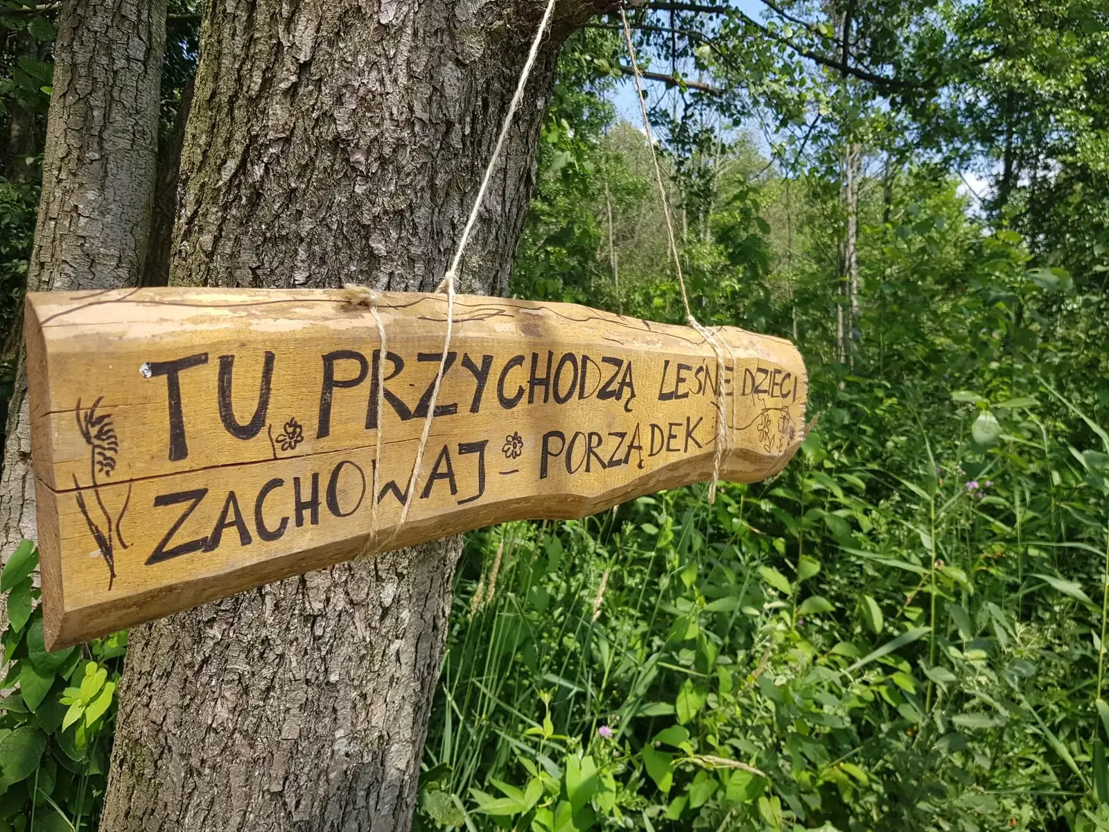 Leśna przestrzeń przedszkola Listowie